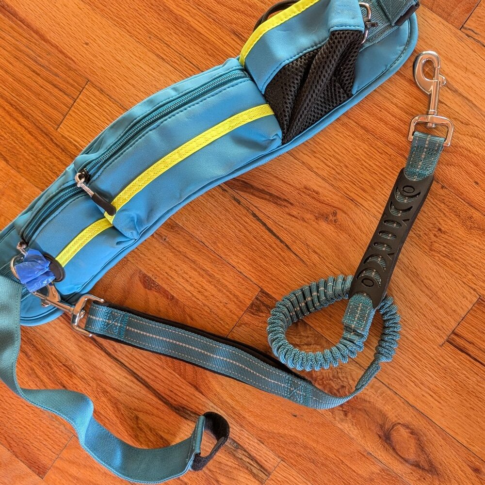 Running Leash Belt